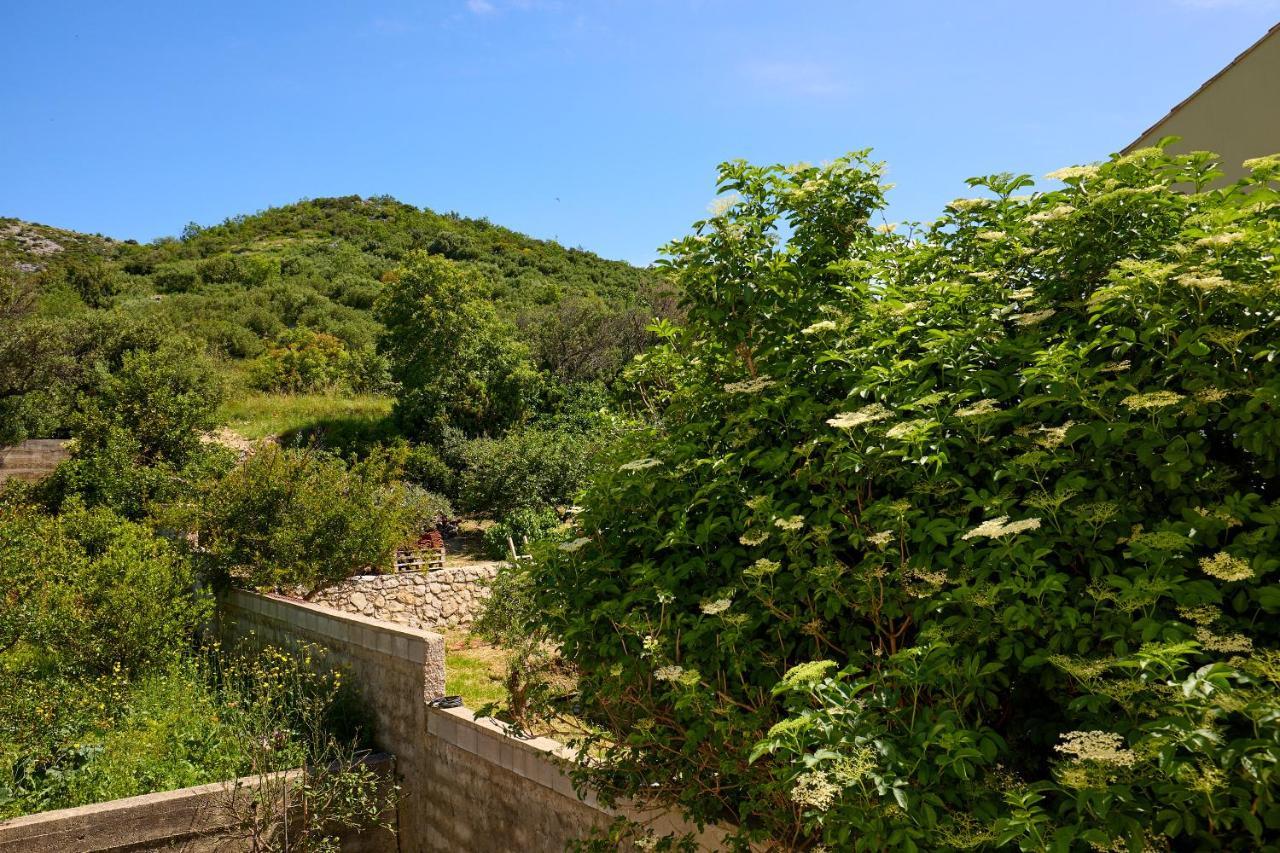 Helton Seaview Apartments Orasac Εξωτερικό φωτογραφία